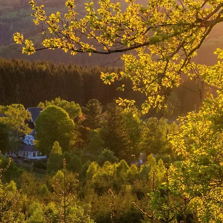 Dom wakacyjny Ferienhaus Waldhaus Bestwig